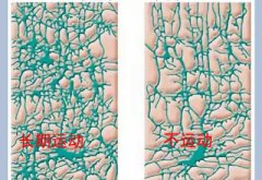 儿童榴莲视频成人下载厂家科普运动可以有效促进儿童智力发育